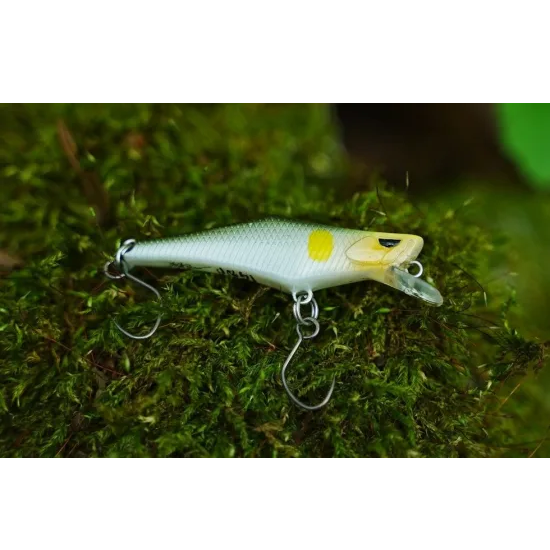 ヒトトキワークス イグナ42S | フィッシングチロル