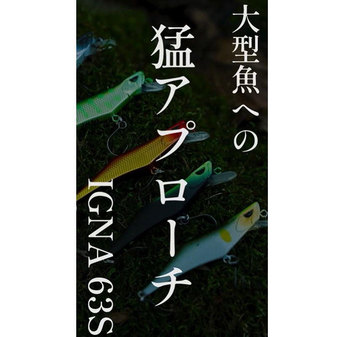 ヒトトキワークス　イグナ　50 42 ヒトトキワークス イグナ42S | フィッシングチロル